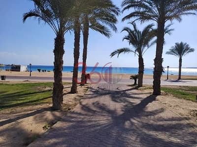 فلیٹ 1 غرفة نوم للبيع في سهل حشيش، البحر الأحمر - IMG_2854_4364c_md. jpg