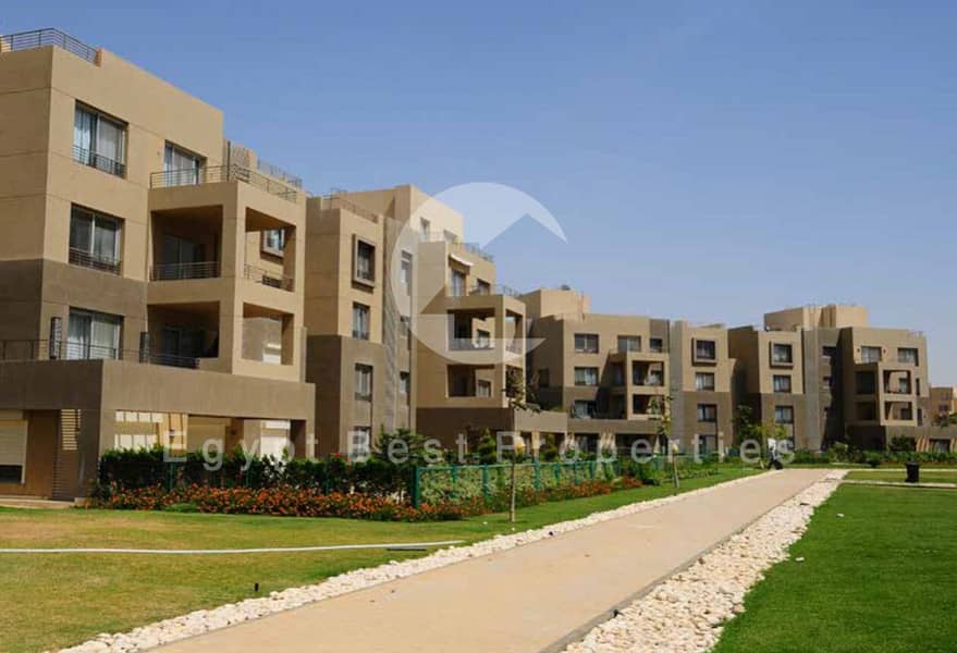 11 palm parks palm hills(1). jpg