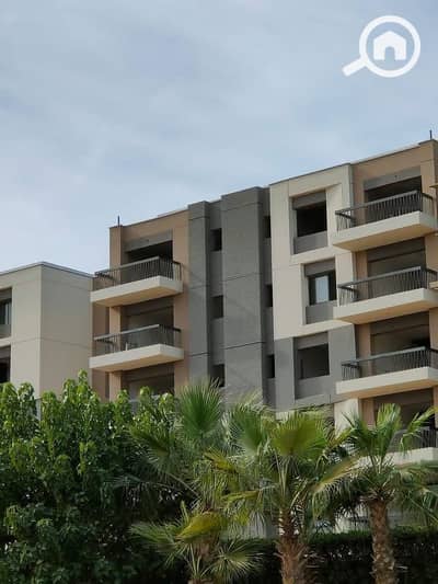 4 Bedroom Apartment for Sale in New Cairo, Cairo - 492296518_122255365586068478_1024495728594319490_n. jpg