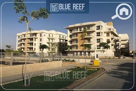 3 Bedroom iVilla for Sale in New Cairo, Cairo - WhatsApp Image 2025-05-11 at 6.42. 55 PM. jpeg