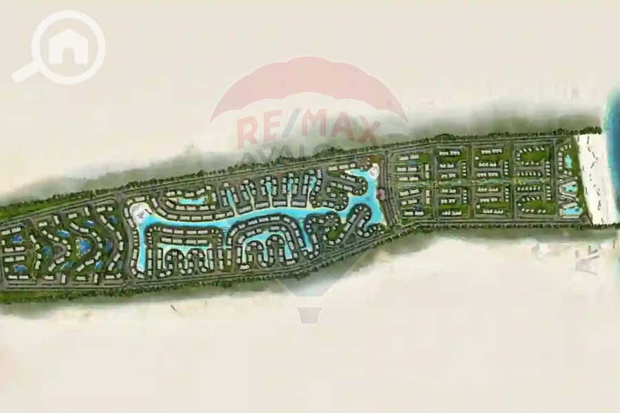 5 6. jpg