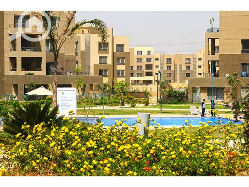 Palm Parks 1. jpg Palm Parks 1. jpg