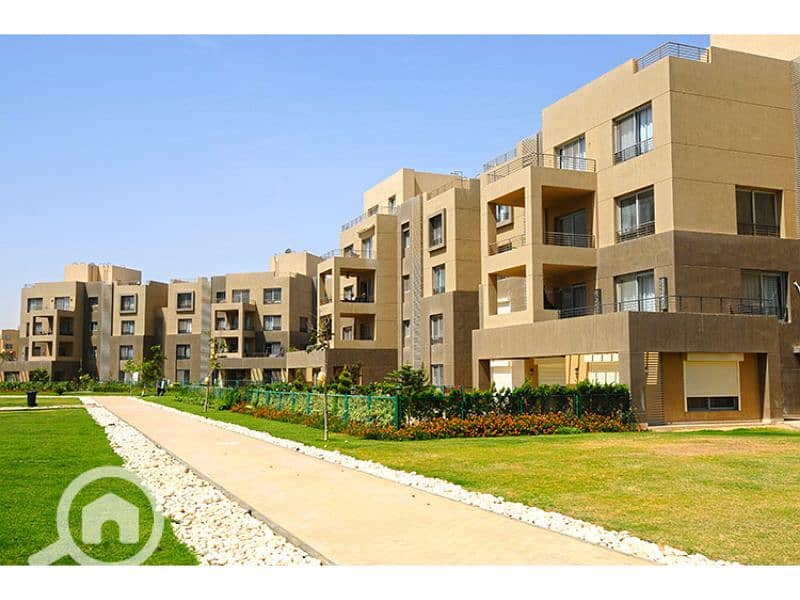 2 Palm Parks 2. jpg