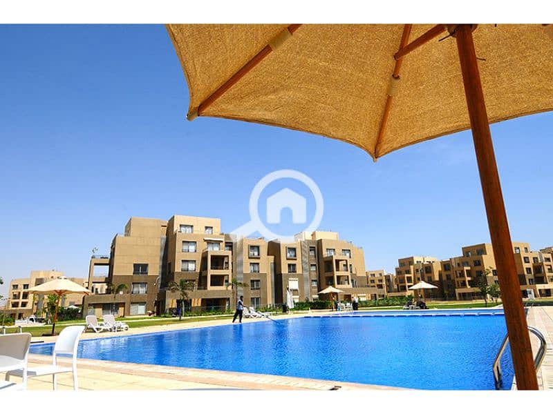 3 Palm Parks 3. jpg