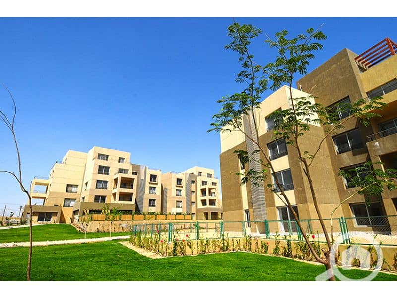 6 Palm Parks 6. jpg