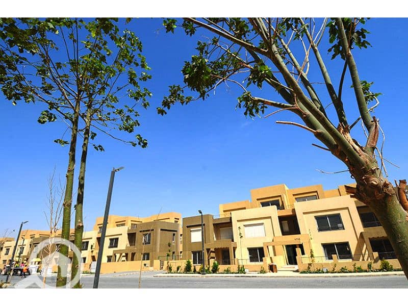 9 Palm Parks 9. jpg