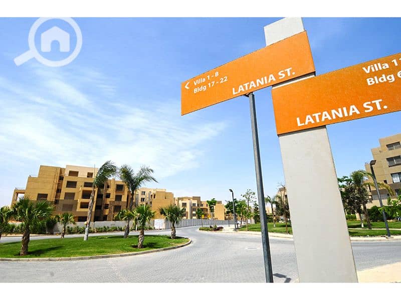 11 Palm Parks 11. jpg
