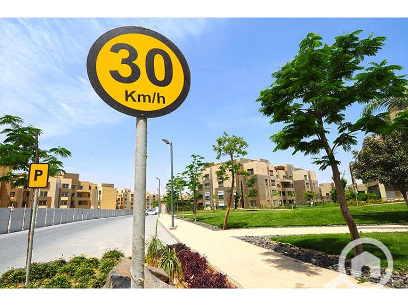 12 Palm Parks 12. jpg