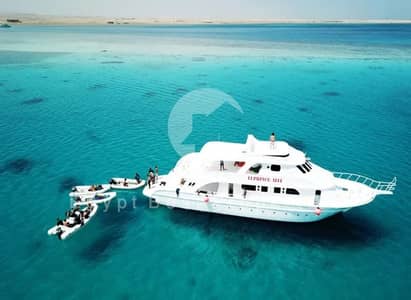 فیلا 3 غرف نوم للبيع في سوما باى، البحر الأحمر - 816941c0-a941-4cf8-a1d3-be67404cc2c8. jpeg