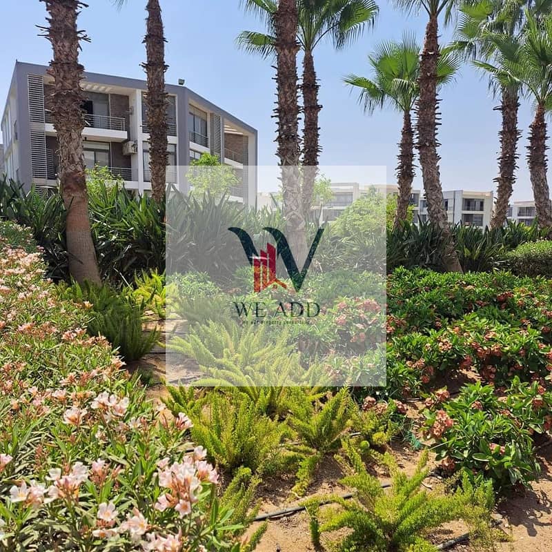 WhatsApp Image 2023-11-21 at 15.26. 16_bfff2434 - Copy - Copy. jpg WhatsApp Image 2023-11-21 at 15.26. 16_bfff2434 - Copy - Copy. jpg