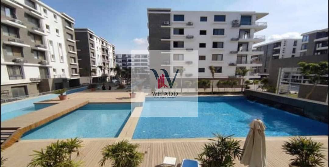 5 431483793_3770068823211868_7419255757268114716_n. jpg