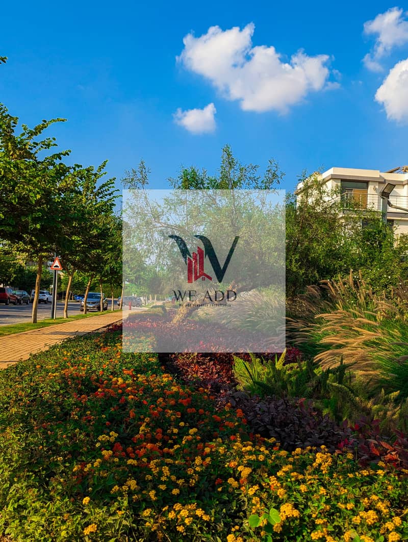 15 WhatsApp Image 2025-03-11 at 14.50. 30_6a86d406. jpg