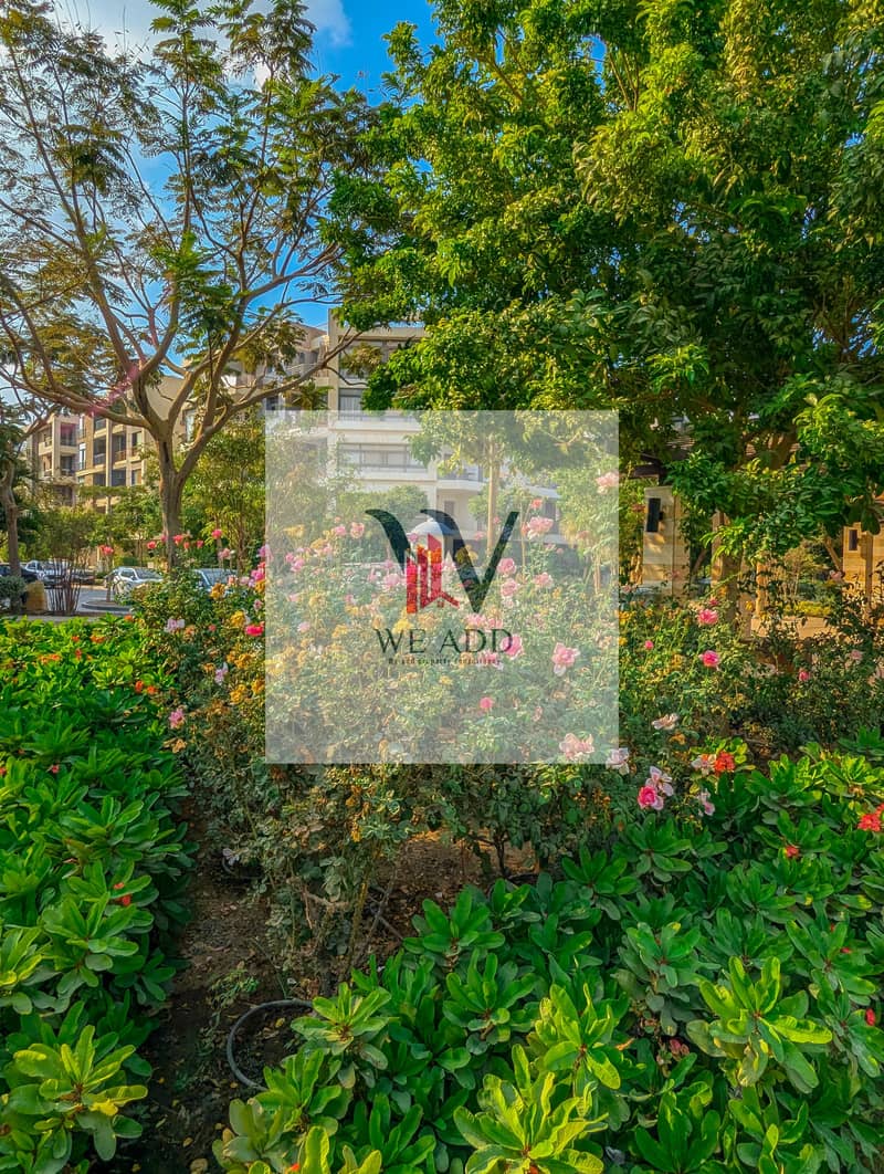 23 WhatsApp Image 2025-03-11 at 14.50. 40_ffcf39e6. jpg