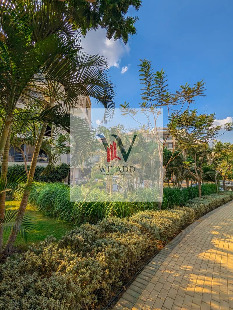 26 WhatsApp Image 2025-03-11 at 14.50. 44_4381f4a1. jpg