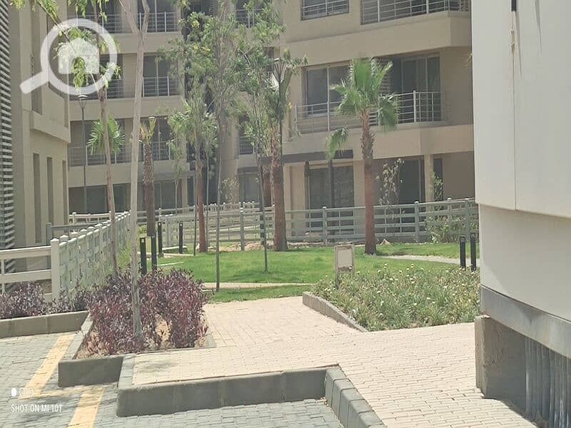 10 347241953_1196086855120006_4304278160063277519_n. jpg