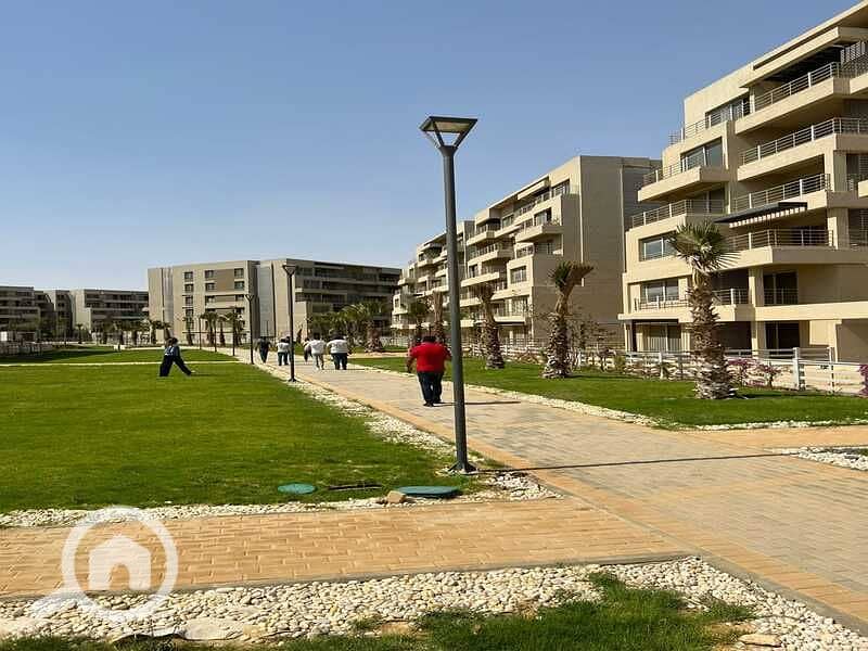 11 351156863_681762027092221_1648130678874436378_n. jpg