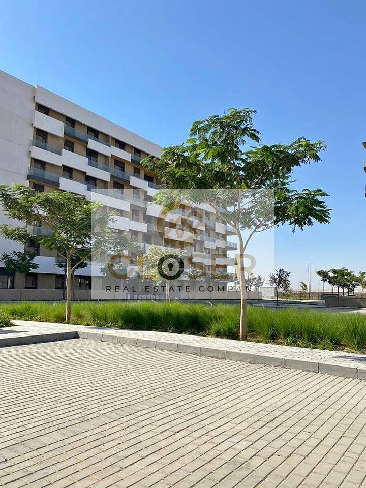 11 364432665_6235339466595212_89284120434768023_n. jpg