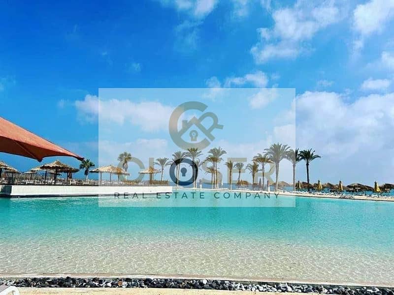 8 365293801_3403617179901100_4497973465847023083_n. jpg