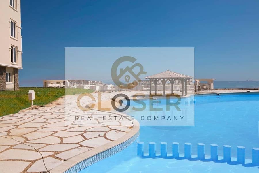 5 290603638_1539356096527120_4828659600746011224_n. jpg