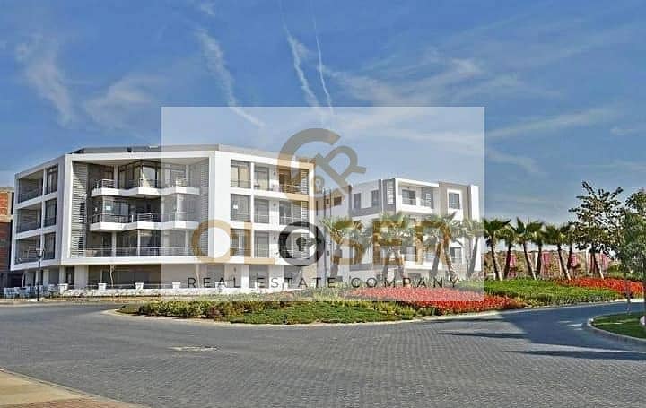 11 332319972_1249851125933426_8962335202664810245_n. jpg