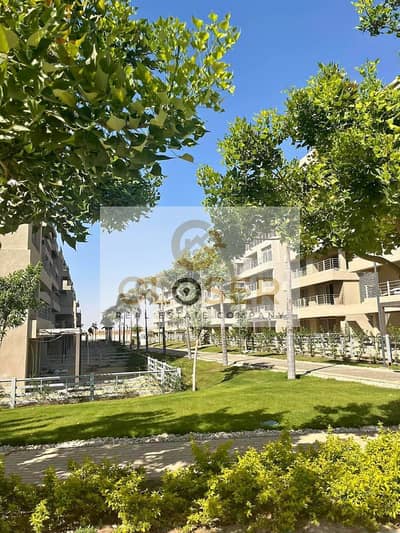 3 Bedroom Flat for Sale in Mostakbal City, Cairo - 462459053_2210863439299455_4117504985964181156_n - Copy. jpg