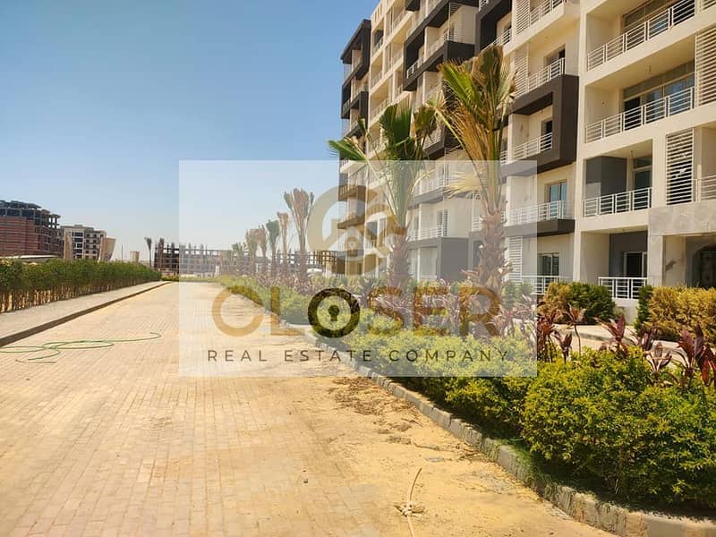 7 451682605_1238538070857256_2487932372983736285_n. jpg