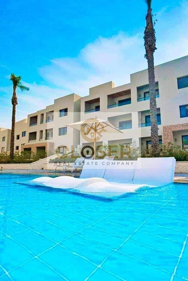 454946996_523875486756498_490922215765223601_n. jpg 454946996_523875486756498_490922215765223601_n. jpg