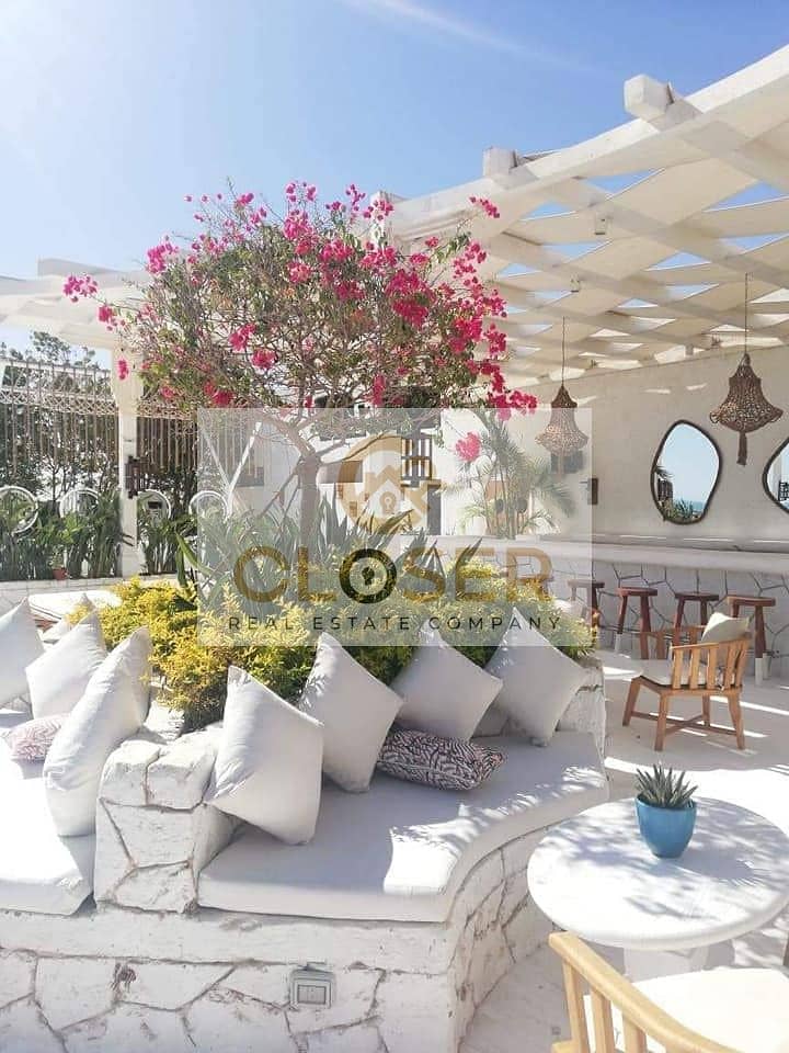 3 455023457_523875560089824_7087617934460595099_n. jpg