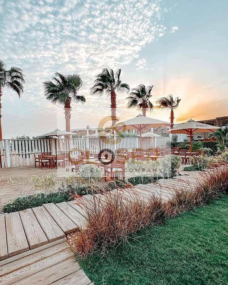 5 455077166_523875450089835_8671976486753082576_n. jpg