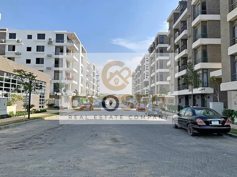 4 313100283_6421601437855696_8770464273363938052_n. jpg