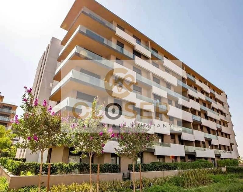 12 370366607_6510855282296090_6614450839536160036_n. jpg