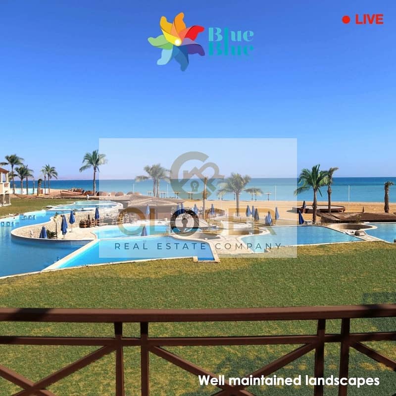 5 289092857_2330213893783660_8616232742527925337_n. jpg