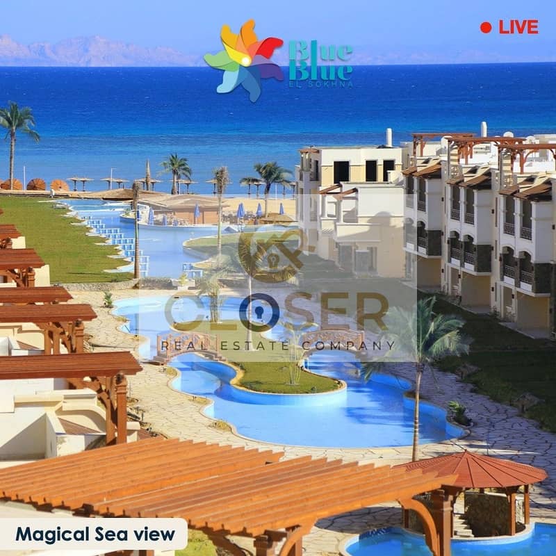 8 290124409_2336175999854116_994335239531380456_n. jpg