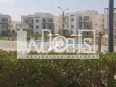 3 Bedroom Chalet for Rent in North Coast, Matruh - WhatsApp Image 2025-05-11 at 3.19. 22 PM (2). jpg