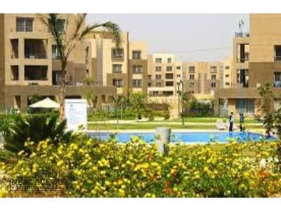4 Bedroom Townhouse for Sale in 6th of October, Giza - WhatsApp Image 2024-10-10 at 5.19. 28 PM (2). jpg