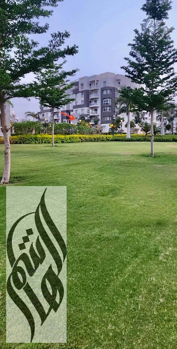 14 WhatsApp Image 2025-05-14 at 5.05. 17 PM (1). jpeg
