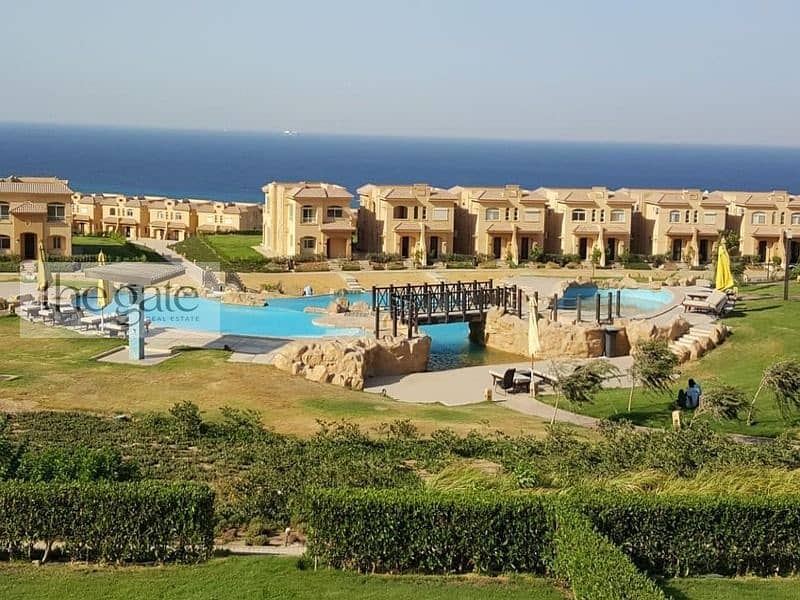 4 تلال07. jpg