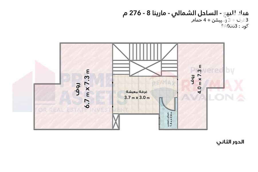 7 7. jpg
