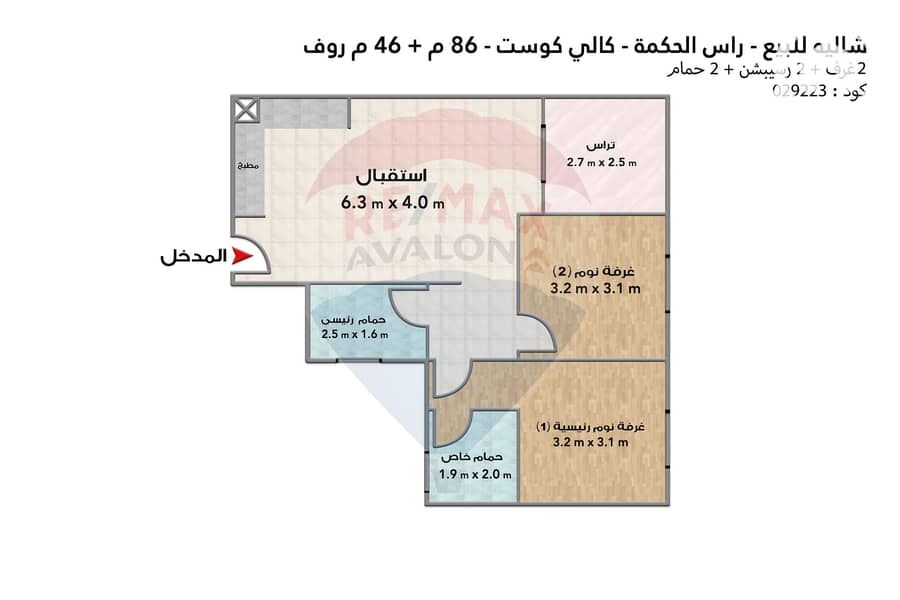 5 5. jpg