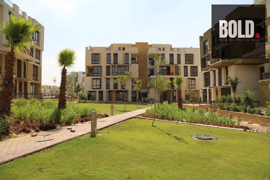10 Beverly-Hills-Sodic-Sheikh-Zayed. jpg