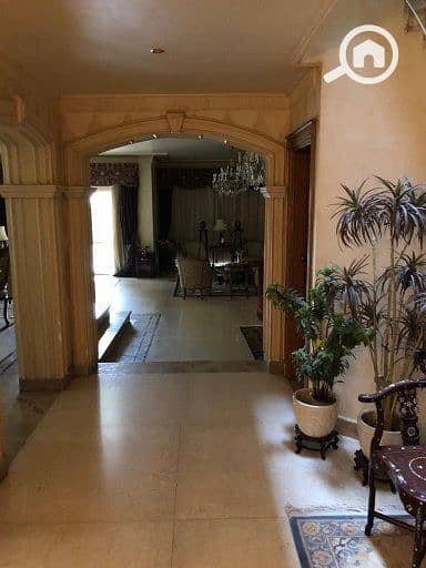 2 patio 1 abdel 3. jpg