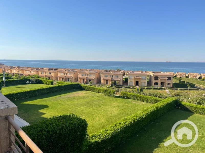 4 WhatsApp Image 2024-10-13 at 13.06. 12_7c8abb6c. jpg