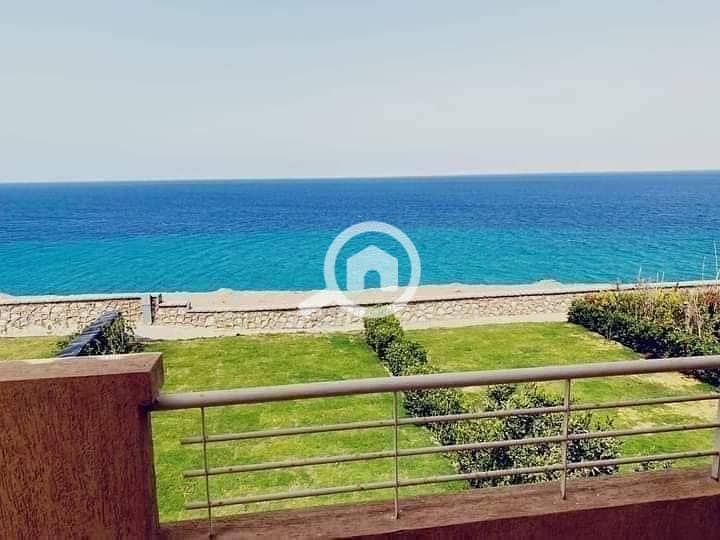 5 398354130_301873692664601_1841513255803376904_n. jpg