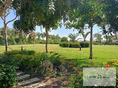 4 Bedroom Villa for Rent in Madinaty, Cairo - WhatsApp Image 2025-05-14 at 5.02. 15 PM (2). jpeg