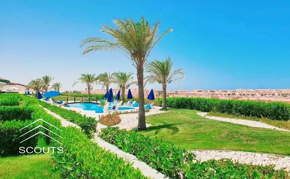 17 26483654-800x600. png