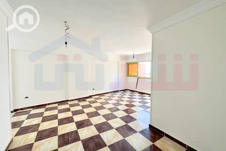 3 Bedroom Apartment for Sale in Mandara, Alexandria - 3. jpg