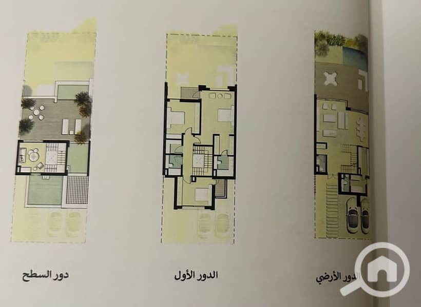 2 WhatsApp Image 2025-02-04 at 23.37. 55. jpeg