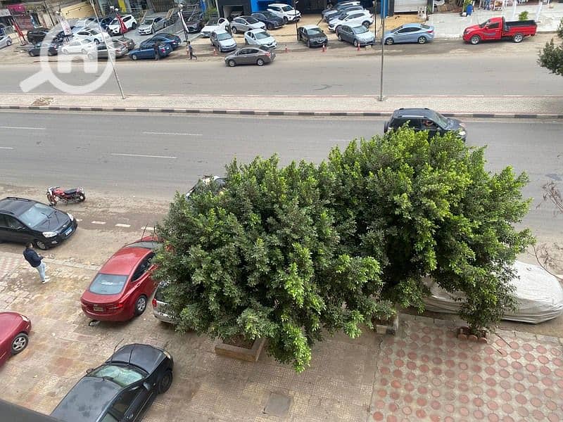 3 WhatsApp Image 2024-12-03 at 3.15. 26 PM (3)_800x600. jpg