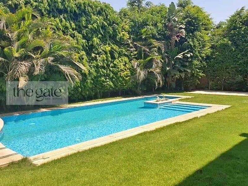 5 بالم44. jpg