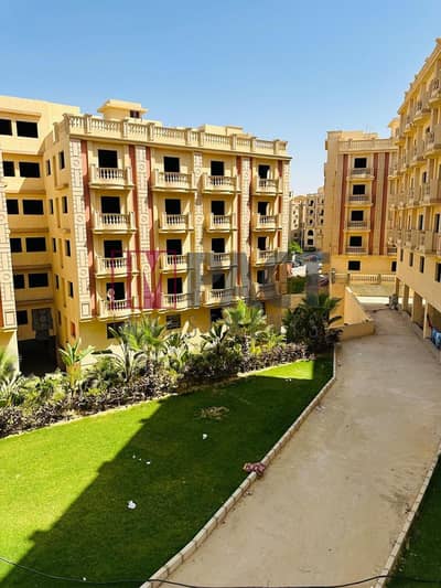 4 Bedroom Duplex for Sale in New Cairo, Cairo - WhatsApp Image 2025-05-14 at 4.09. 28 PM (2). jpeg